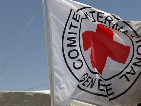 Красный Крест доставил большой груз гумпомощи на оккупированный Донбасс