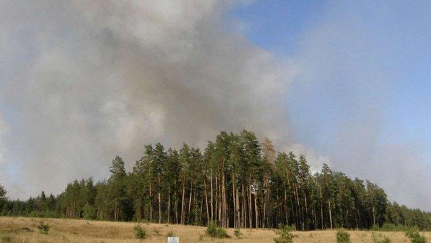 ДСНС: На Луганщині на лінії розмежування горить замінований ліс, є постраждалі