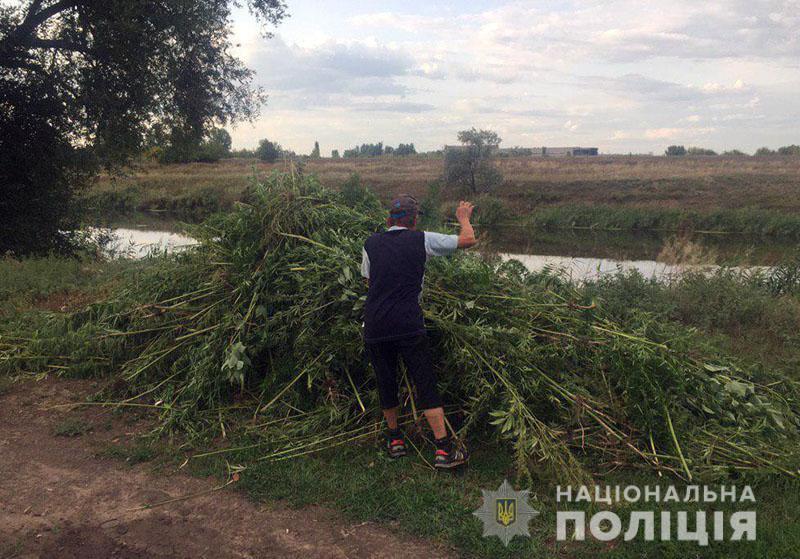 Славянские полицейские сожгли почти гектар конопли