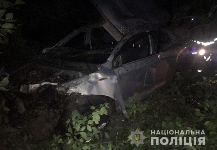 Смертельне ДТП на Донеччині: Автомобіль вилетів у кювет. Одна людина померла, ще четверо — в лікарні