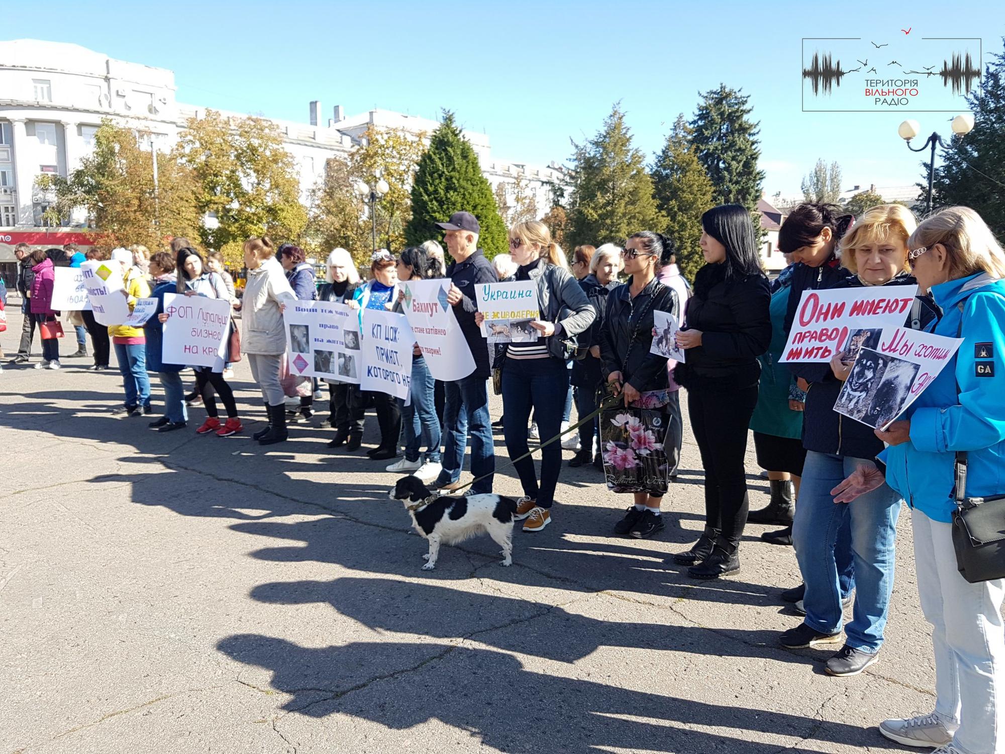 На Донеччині протестують зоозахисники. Вимагають розірвати контракт з ймовірними догхантерами