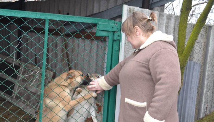 В Мирнограді волонтерка збирає кошти на відокремлену базу для безпритульних тварин