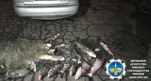 Браконьеры из Славянского района выловили рыбы на почти 35 тыс. грн. Их поймали