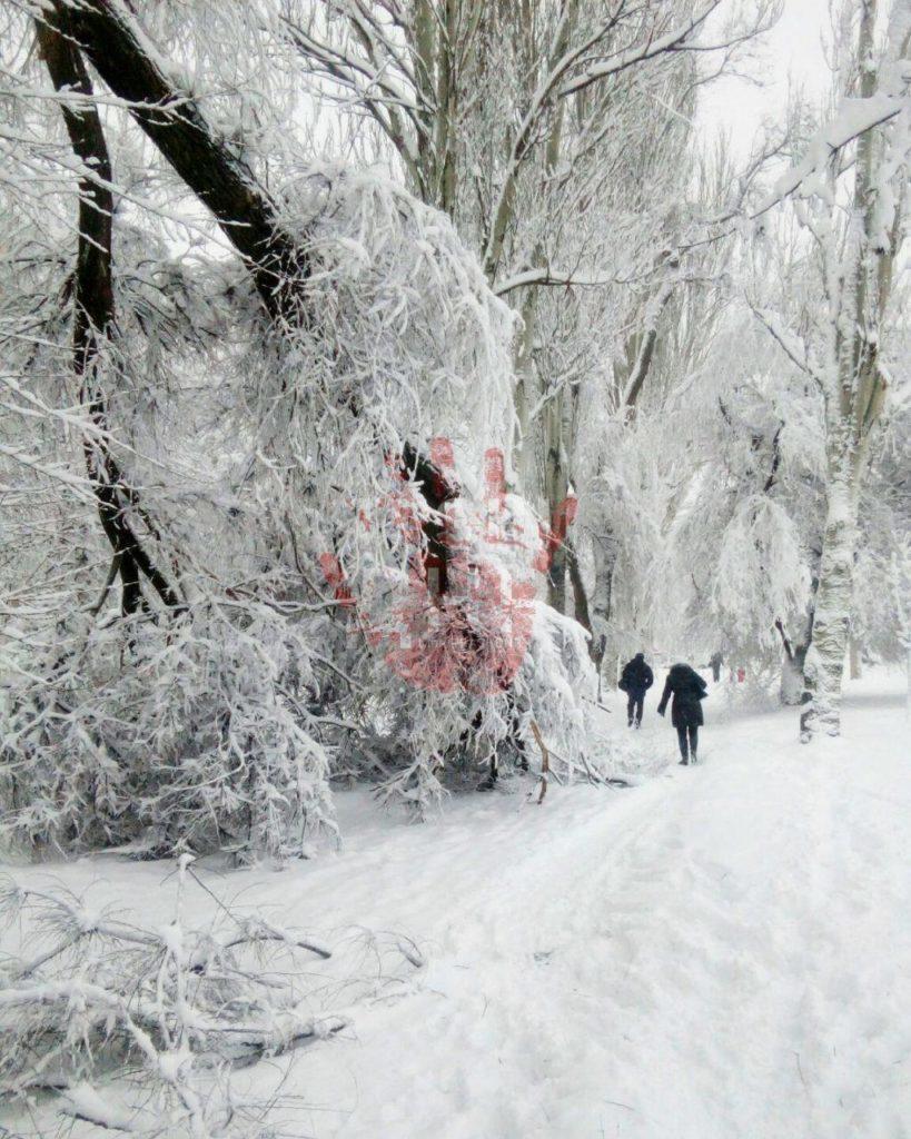 Наслідки негоди: 50 міст Донеччини частково без світла, десятки машин в снігу (ФОТО) 9