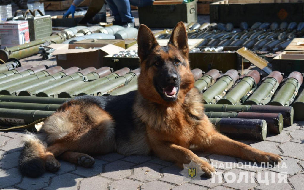 В закрытом детском лагере в Донецкой области обнаружили склады с боеприпасами
