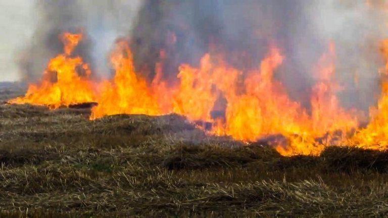 За спалену траву планують штрафувати жорсткіше. Штрафи зростуть у 18 разів