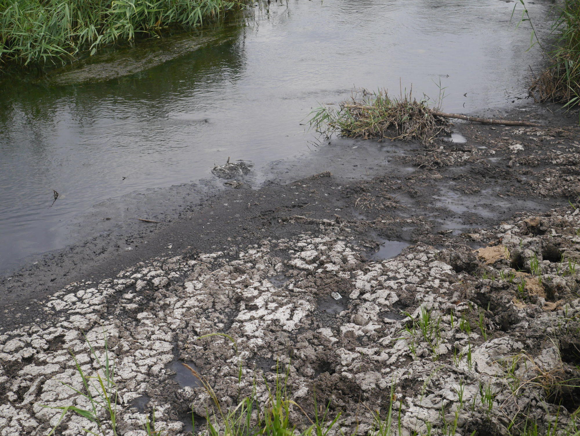 В реку Бахмутку продолжает течь загрязненная вода (ФОТО, ВИДЕО) | Вільне  радіо