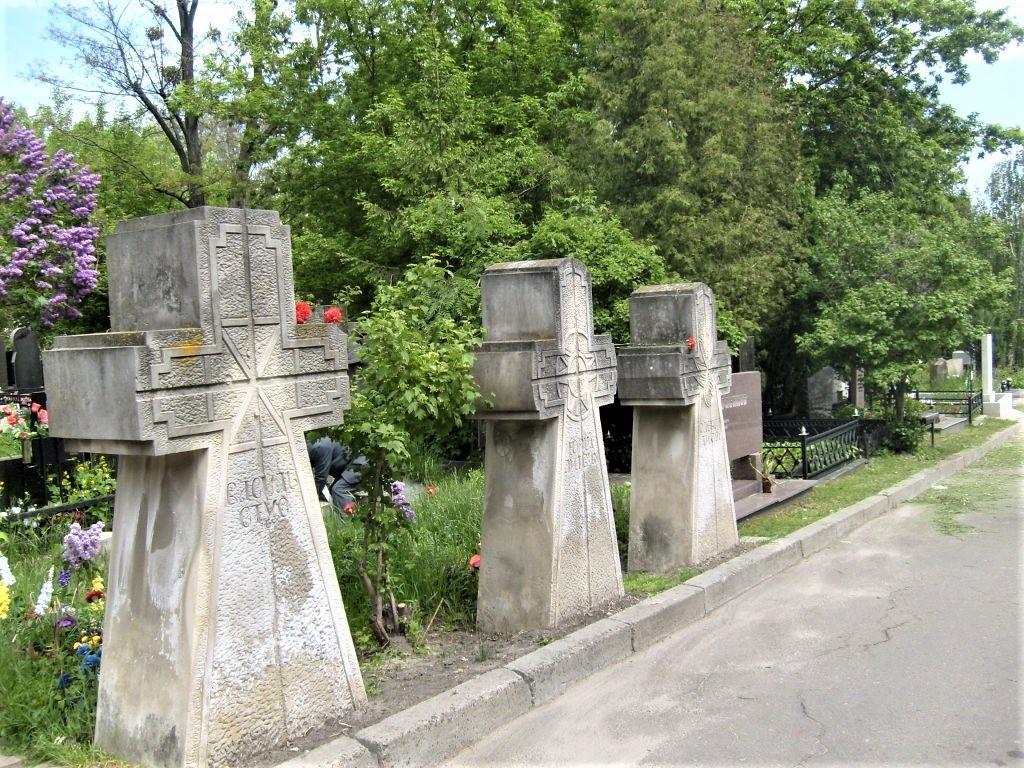 могили Стуса Литвина Тихого Байкове кладовище