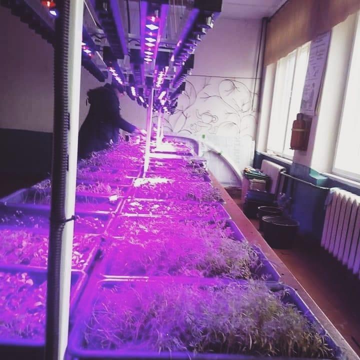 інфрачервоні лампи вирощування рослин кабінет праці