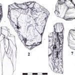 Новая древнейшая памятка человека на востоке: В Константиновке нашли уникальный обработанный кремень