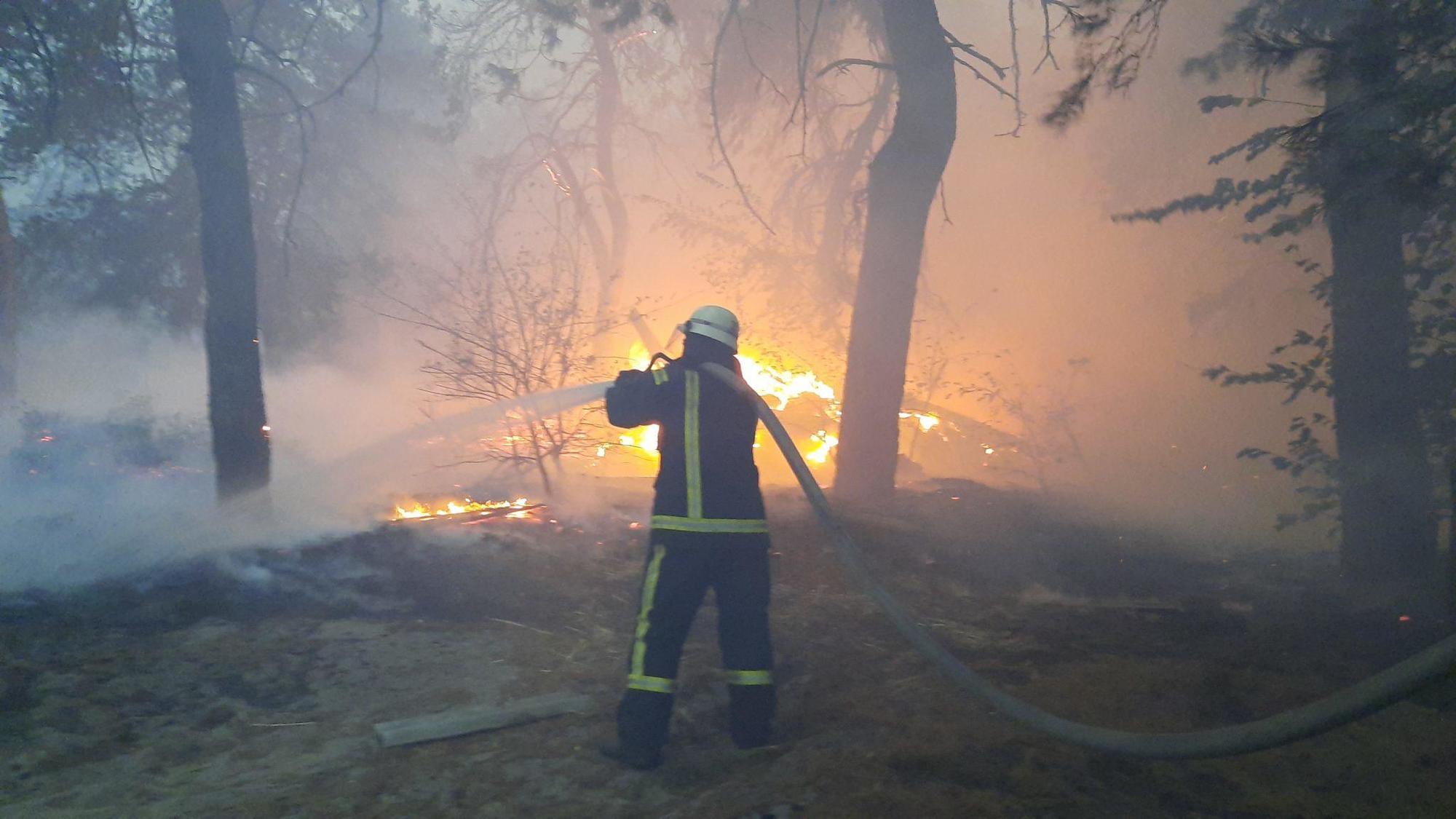 пожежі на Луганщині