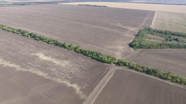 Мешканець Донеччини свідомо відмовляється від експлуатації паю, аби відродити на ньому степ. Як це відбувається