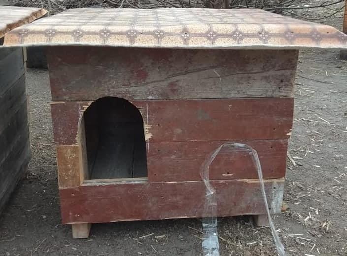 Житло потрібне усім: жителі Слов’янська зробили будки для безпритульних собак з підручних матеріалів (ФОТО)