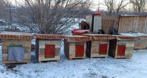 Житло потрібне усім: жителі Слов’янська зробили будки для безпритульних собак з підручних матеріалів (ФОТО)