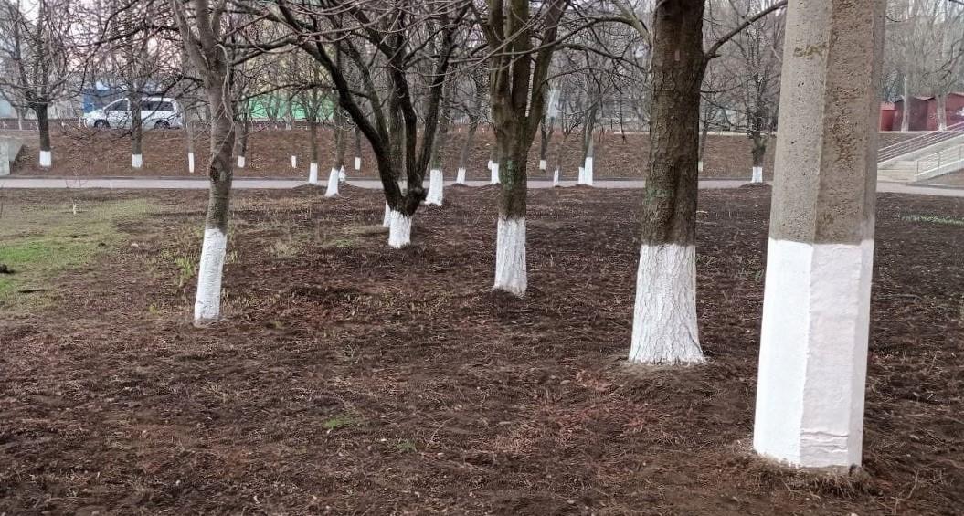 побліка дерев на Донеччині