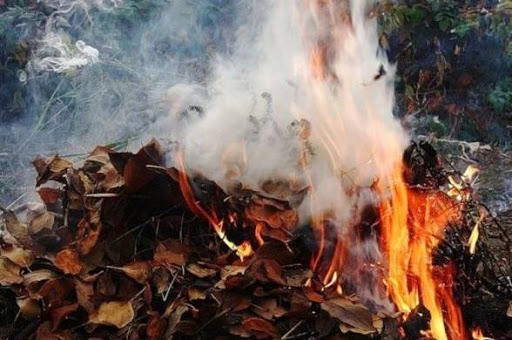 Відбувся переляком: На Донеччині підліток отримав поранення, спалюючи листя