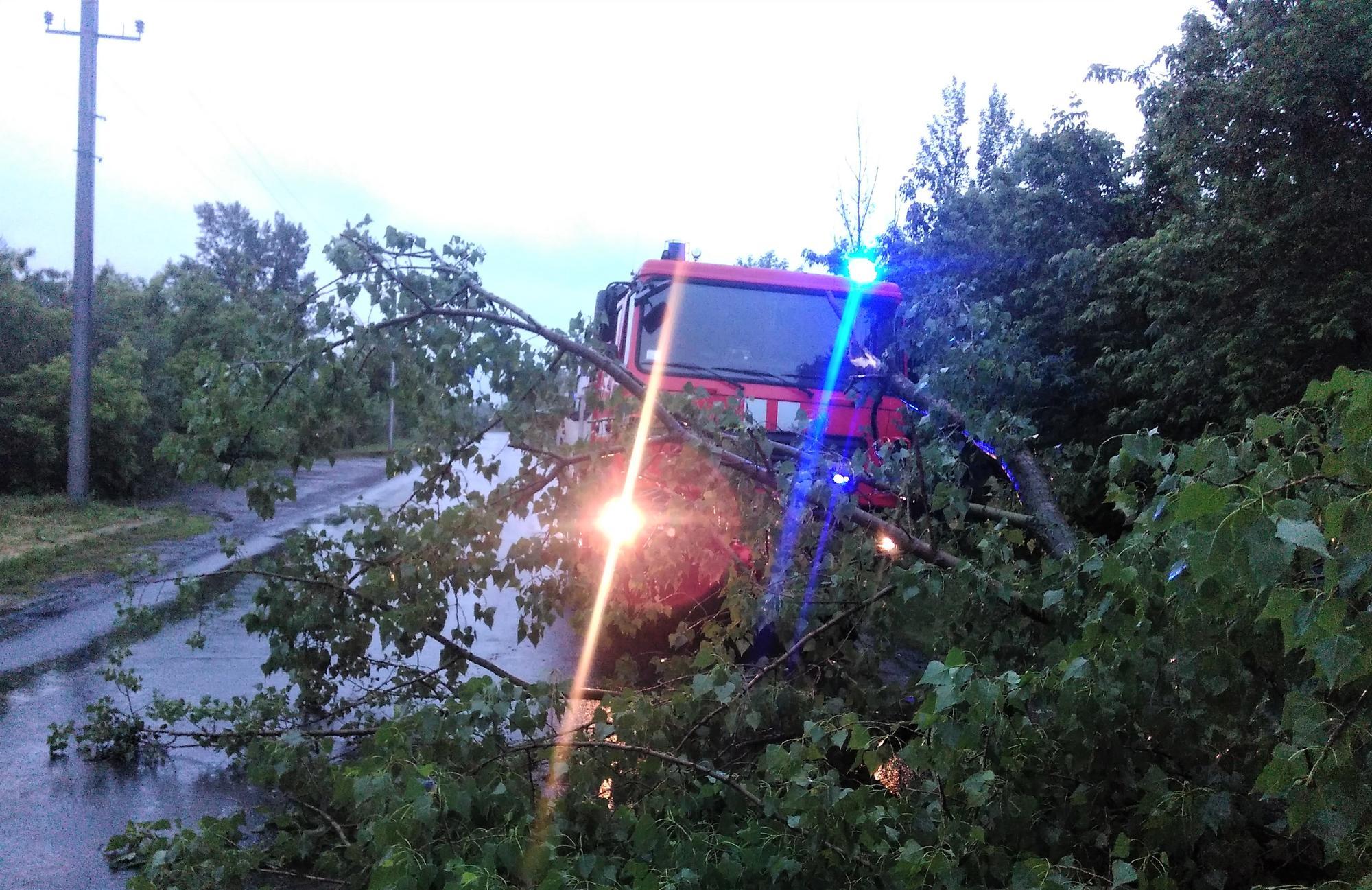 наслідки негоди на Донеччині повалене дерево на дорозі ДСНС