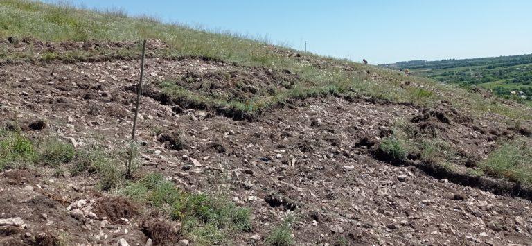 На Донеччині комунальники пошкодили пам’ятку природи (ФОТО, ВІДЕО)