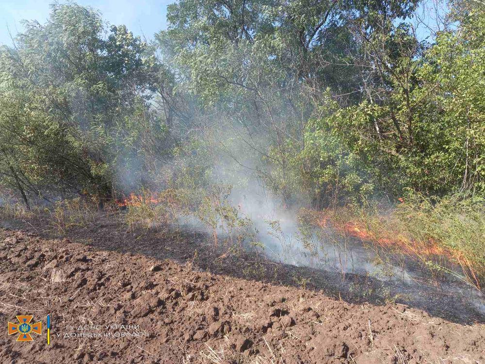 В Донецкой области за день вспыхнуло почти полсотни пожаров