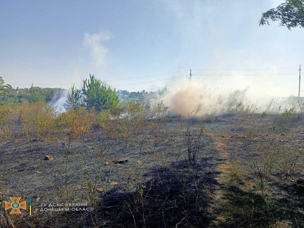 На Донеччині за день спалахнули 48 пожеж