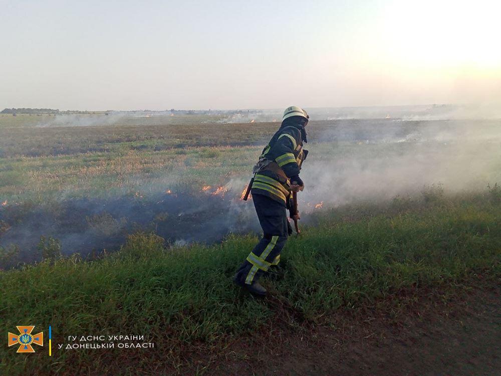 На Донеччині за день спалахнули майже пів сотні пожеж (ФОТО)