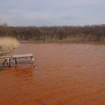 Питна вода під загрозою: науковці розрахували, коли забруднення з ОРДЛО потрапить у Сіверській Донець