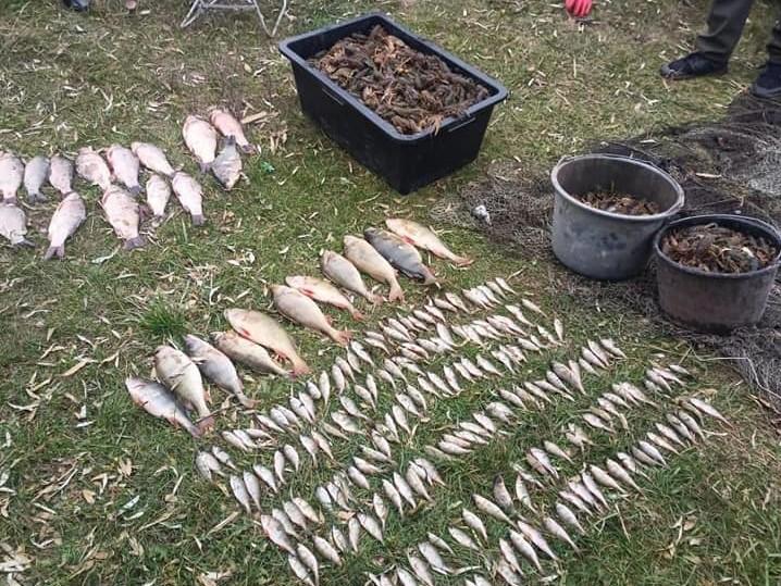 Наловили на 5 млн грн: на Донеччині впіймали двох рибалок-браконьєрів (ФОТО)