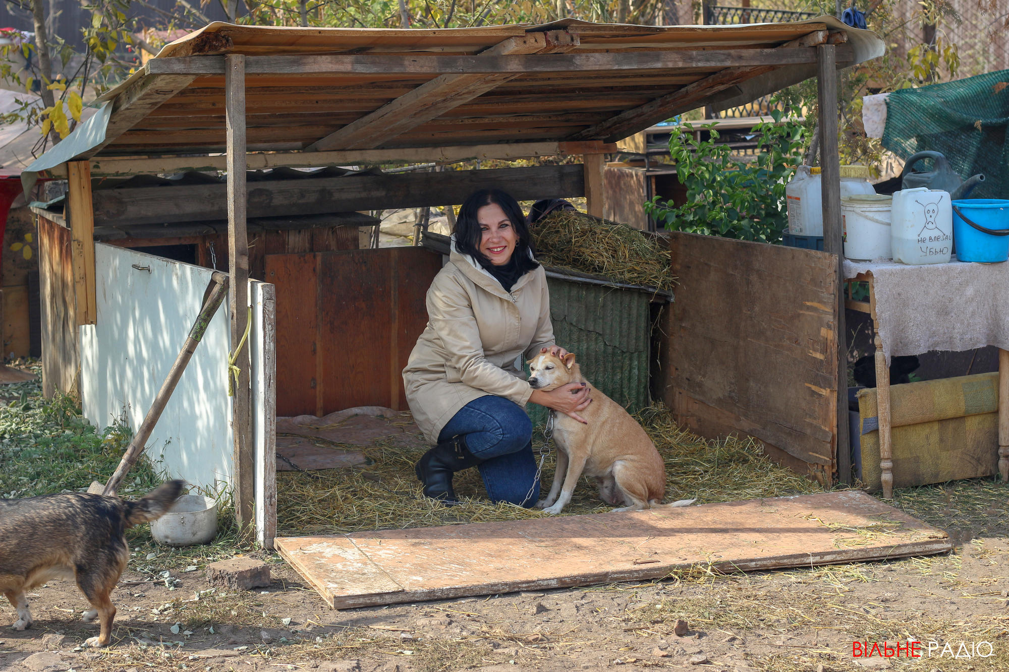 Бахмутська зоозахисниця розповіла про проблеми безпритульних тварин