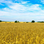 На Донеччині — один із найнижчих показників з купівлі-продажу землі по Україні