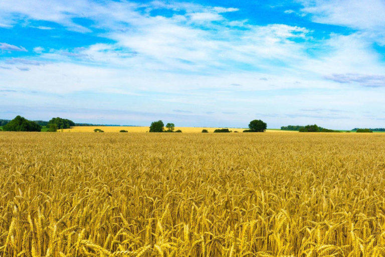 На Донеччині — один із найнижчих показників з купівлі-продажу землі по Україні