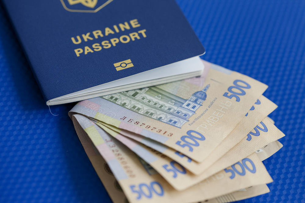 Українським дітям хочуть завести економічні паспорти. Звідки братимуть гроші та скільки “набіжить” до повноліття