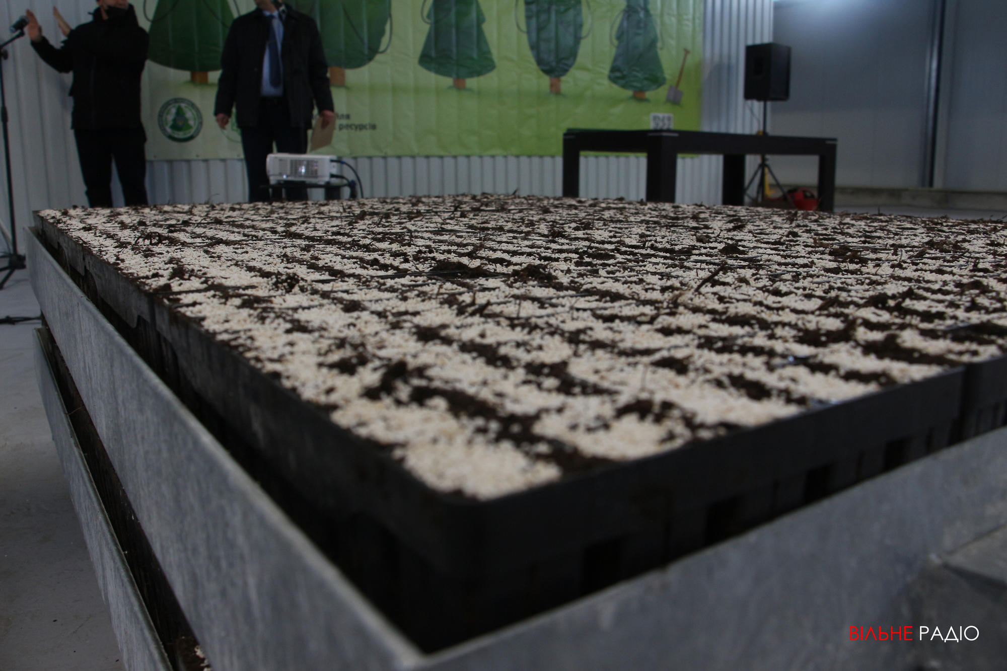 В Лимане открыли семенно-селекционный центр, в котором планируют выращивать деревья для всего Донбасса и других областей Украины
