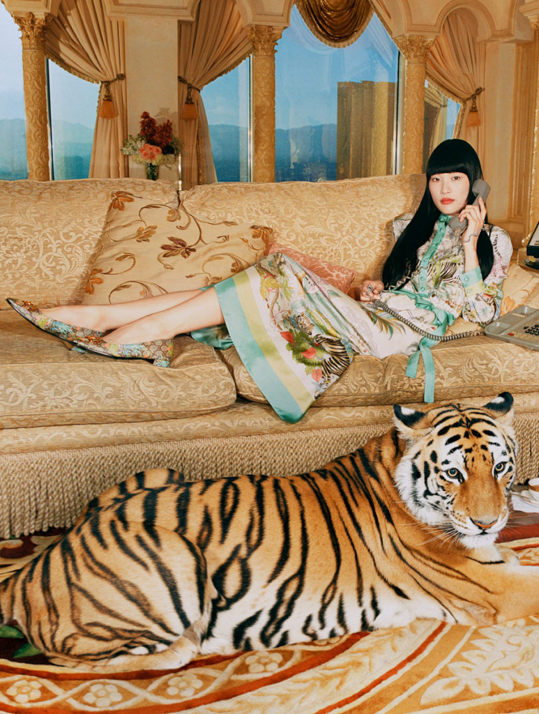 Prada і Gucci – охоронці тигрів