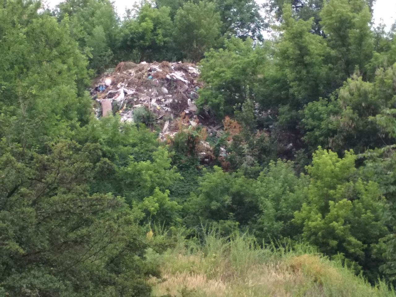 мусор в балке в Торецке