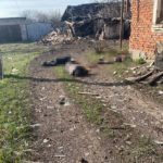 Убили всю семью: российские войска обстреляли Авдеевку, погибли 5 человек