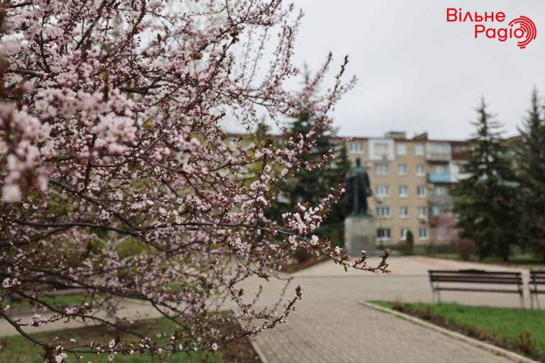 Весняний Бахмут. Як зеленіють і квітнуть вулиці прифронтової громади (ФОТОРЕПОРТАЖ)