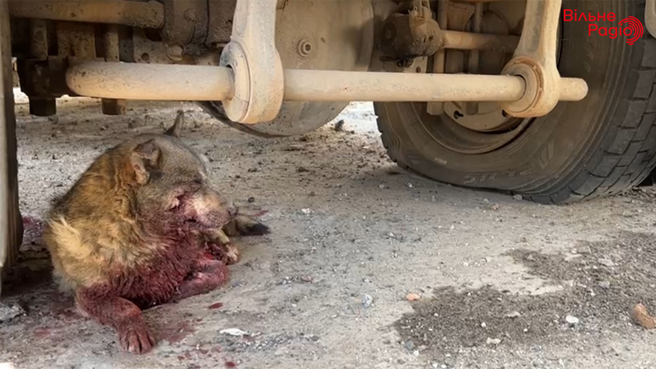 Обстрел Бахмута: 24 мая оккупанты обстреляли строительную базу, погибли по меньшей мере 2 человека (ФОТО) 11