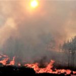 “Врятує лише дощ”. На Донеччині від російських обстрілів згоріли тисячі гектарів лісів, дим йде до Краматорська (ВІДЕО)