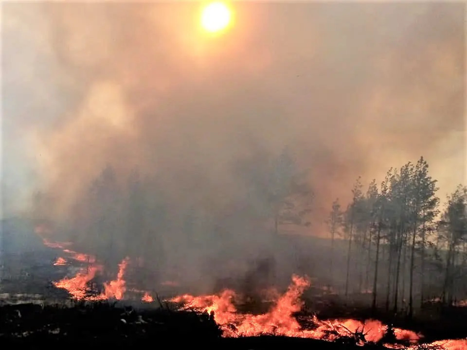лесной пожар в Украине