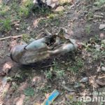 За добу від вогню окупантів на Донеччині загинули 6 цивільних (ФОТО)
