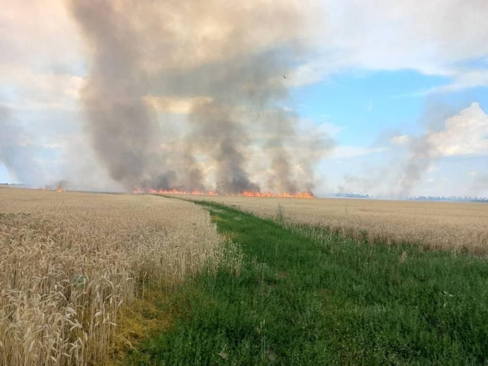 Сгорело в 100 раз больше, чем в прошлом году: оккупанты сожгли почти 600 гектаров пшеницы в Донецкой области, — ГСЧС 2