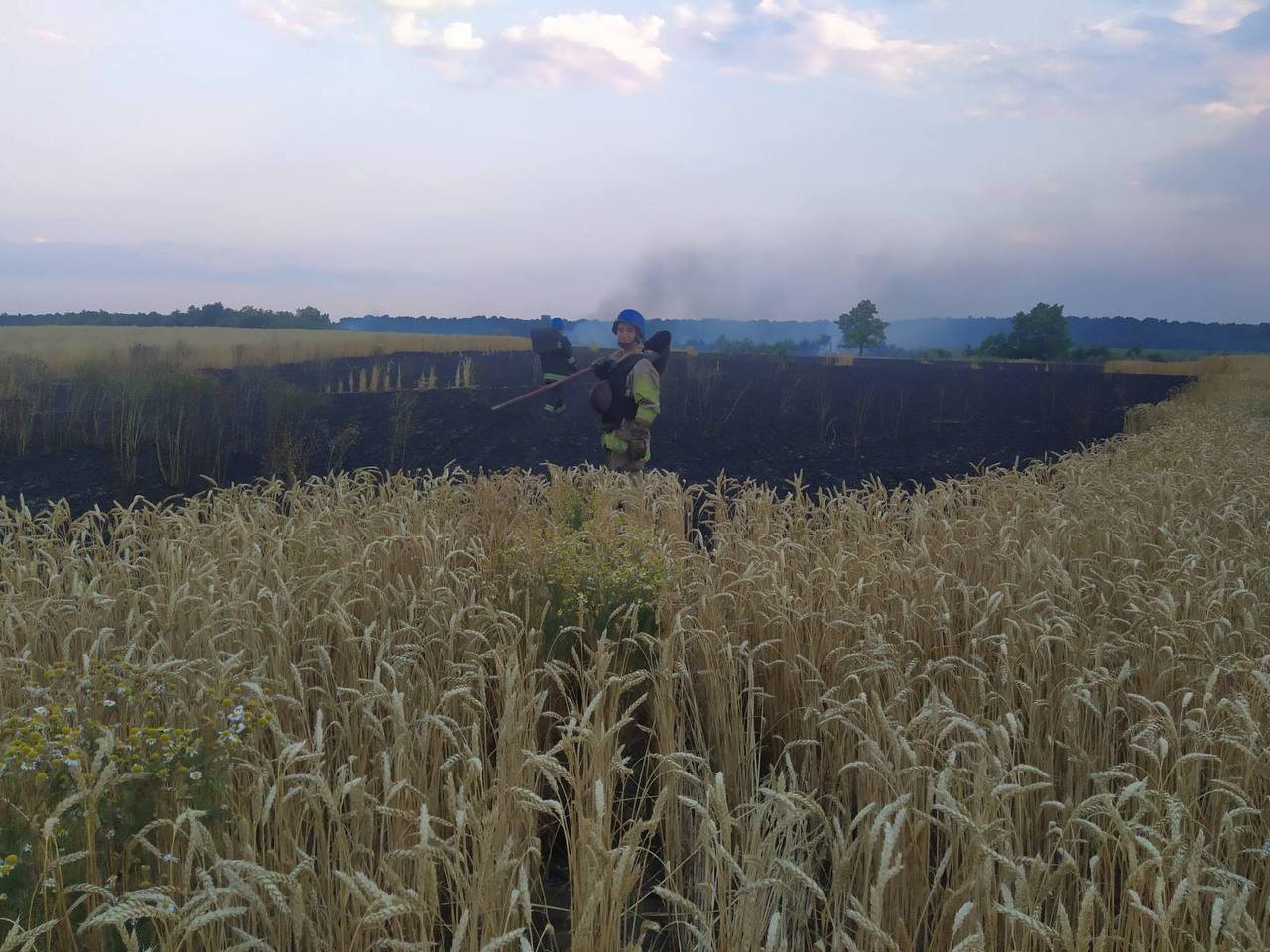 За один день от обстрелов оккупантов на Донетчине сгорели более 70 га пшеницы