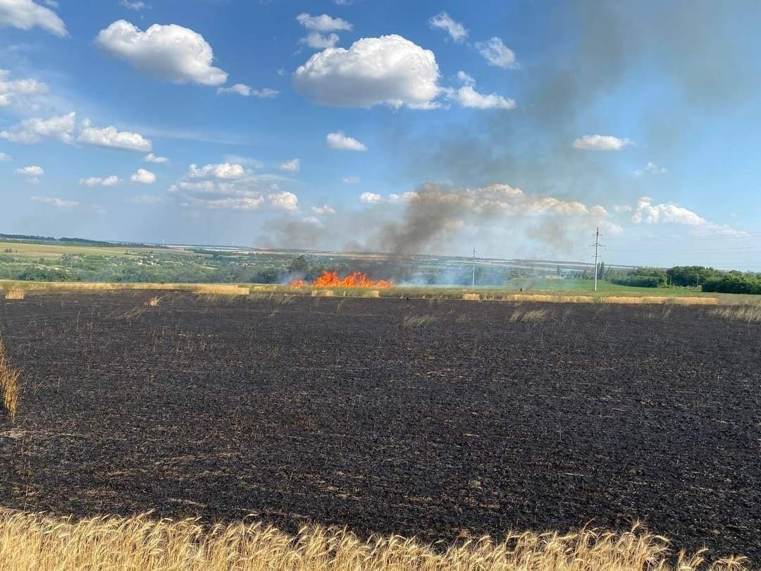 Сгорело в 100 раз больше, чем в прошлом году: оккупанты сожгли почти 600 гектаров пшеницы в Донецкой области, — ГСЧС 1
