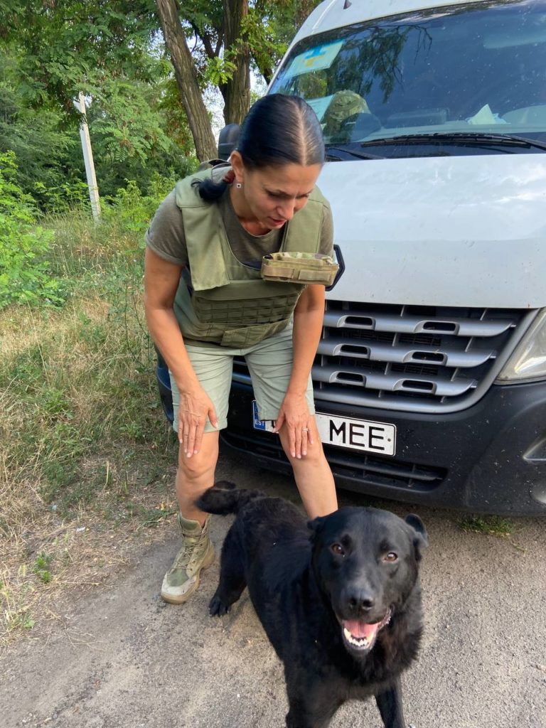 Пес, которого волонтеры "ХАТІКО ЮА" спасли в Лисичанске, уже едет в новую семью в Киев