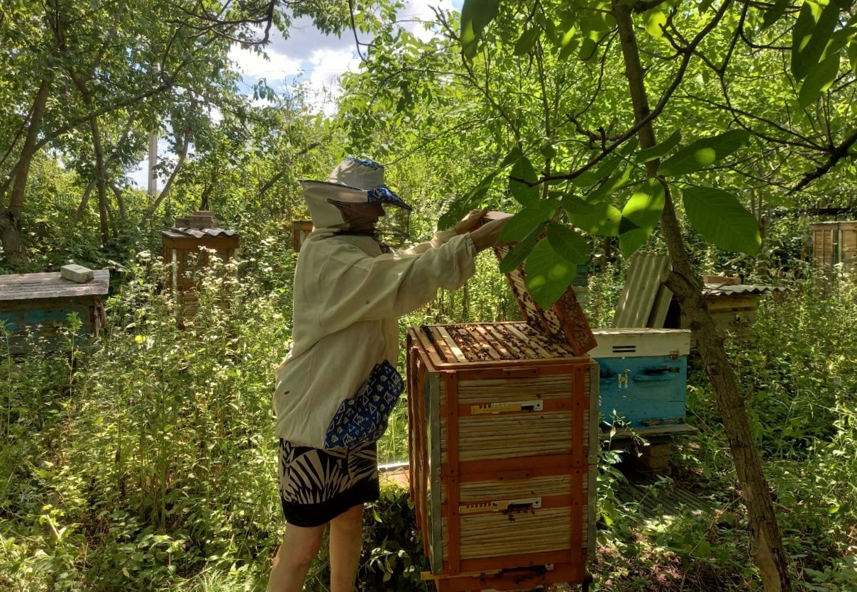 женщина-пчеловод Людмила Нагорная в Донецкой области