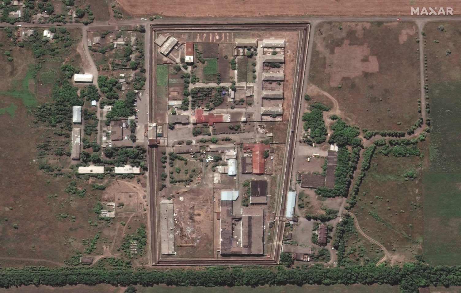 спутниковые снимки колонии в Еленовке
