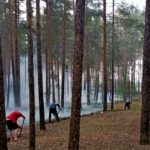 Перекрывают кислород. Россияне выжигают вековые леса вдоль Северского Донца огнем войны. Как там сейчас и чем это угрожает