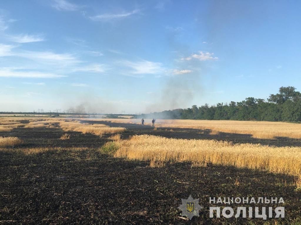 сгоревшее поле после обстрела 30 июля в Донецкой области