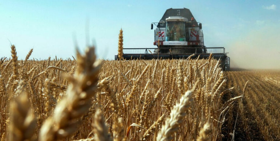 В Донецкой области ожидается почти вдвое меньший урожай зерна, чем в прошлом году