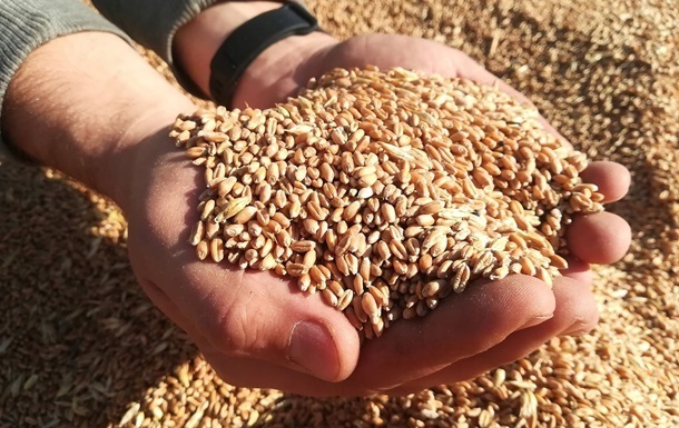 В т.н. “ДНР” в этом году ожидают увеличения урожая зерна на 40%